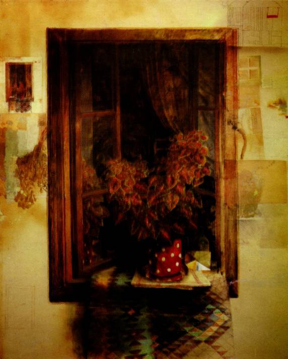 Stari safet zec - Prozor s cilimom